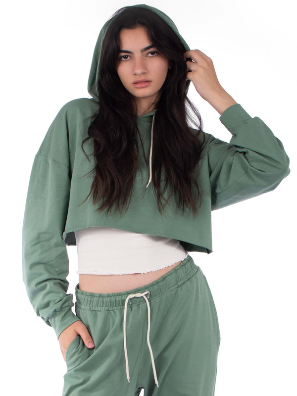 stylish hoodie & joggers